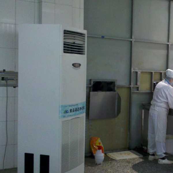 杨浦食品正负离子空气杀菌器